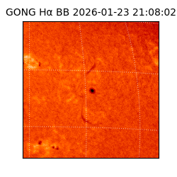 gong - 2026-01-23T21:08:02