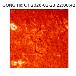 gong - 2026-01-23T22:00:42