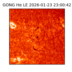 gong - 2026-01-23T23:00:42