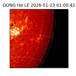 gong - 2026-01-23T01:00:42