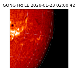 gong - 2026-01-23T02:00:42
