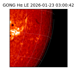 gong - 2026-01-23T03:00:42