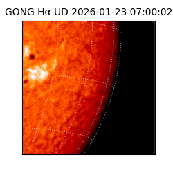 gong - 2026-01-23T07:00:02