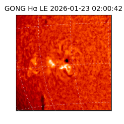 gong - 2026-01-23T02:00:42