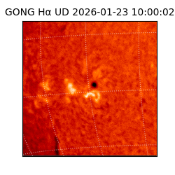 gong - 2026-01-23T10:00:02