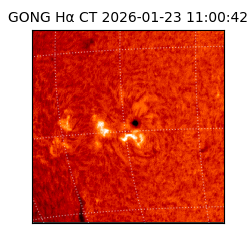 gong - 2026-01-23T11:00:42