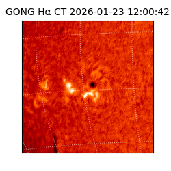 gong - 2026-01-23T12:00:42