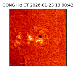 gong - 2026-01-23T13:00:42