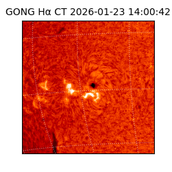 gong - 2026-01-23T14:00:42