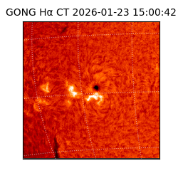 gong - 2026-01-23T15:00:42