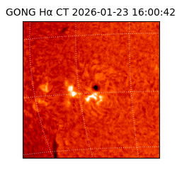 gong - 2026-01-23T16:00:42