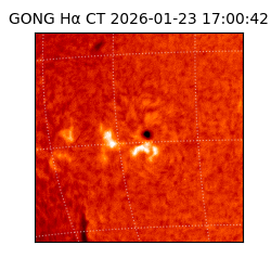 gong - 2026-01-23T17:00:42