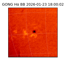gong - 2026-01-23T18:00:02
