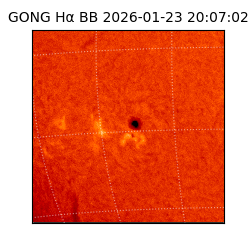 gong - 2026-01-23T20:07:02