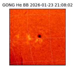gong - 2026-01-23T21:08:02