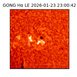 gong - 2026-01-23T23:00:42