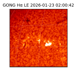 gong - 2026-01-23T02:00:42