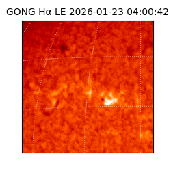 gong - 2026-01-23T04:00:42