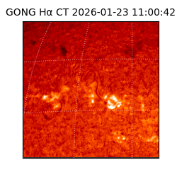 gong - 2026-01-23T11:00:42