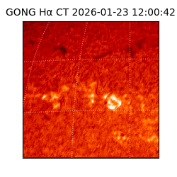 gong - 2026-01-23T12:00:42