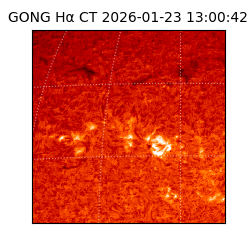 gong - 2026-01-23T13:00:42