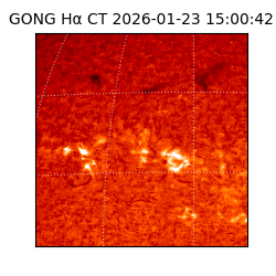 gong - 2026-01-23T15:00:42