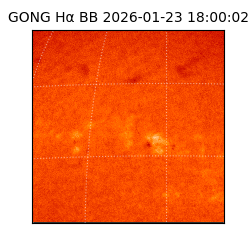 gong - 2026-01-23T18:00:02