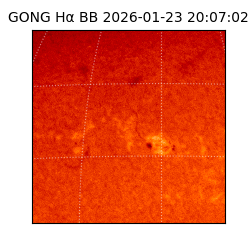 gong - 2026-01-23T20:07:02
