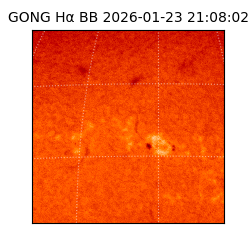 gong - 2026-01-23T21:08:02