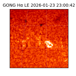 gong - 2026-01-23T23:00:42