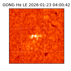 gong - 2026-01-23T04:00:42