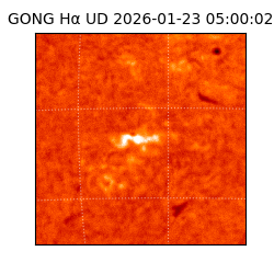 gong - 2026-01-23T05:00:02