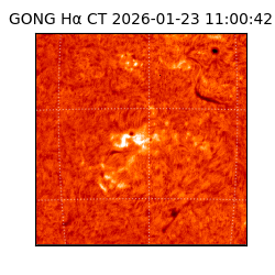 gong - 2026-01-23T11:00:42