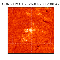 gong - 2026-01-23T12:00:42