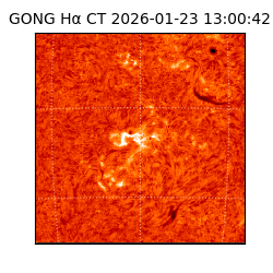 gong - 2026-01-23T13:00:42