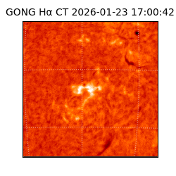 gong - 2026-01-23T17:00:42