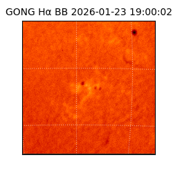 gong - 2026-01-23T19:00:02