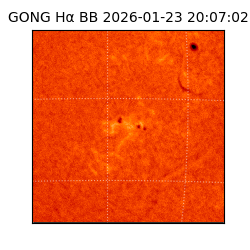 gong - 2026-01-23T20:07:02