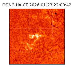 gong - 2026-01-23T22:00:42