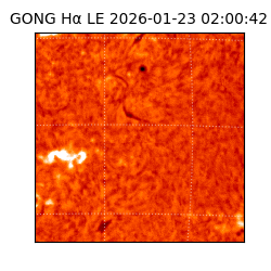 gong - 2026-01-23T02:00:42