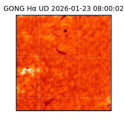 gong - 2026-01-23T08:00:02