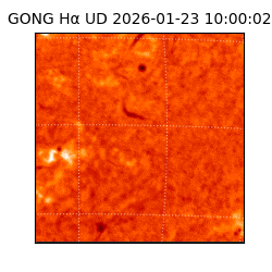 gong - 2026-01-23T10:00:02