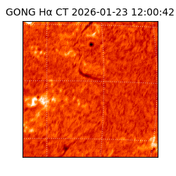 gong - 2026-01-23T12:00:42