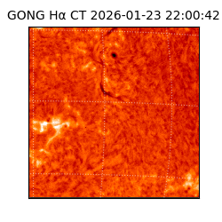 gong - 2026-01-23T22:00:42