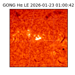 gong - 2026-01-23T01:00:42