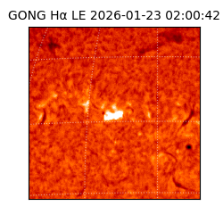 gong - 2026-01-23T02:00:42