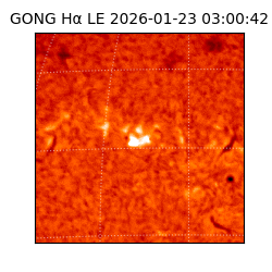 gong - 2026-01-23T03:00:42