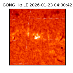 gong - 2026-01-23T04:00:42