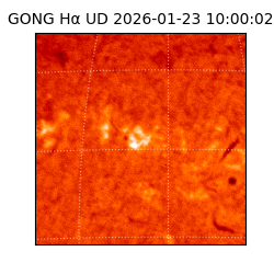 gong - 2026-01-23T10:00:02