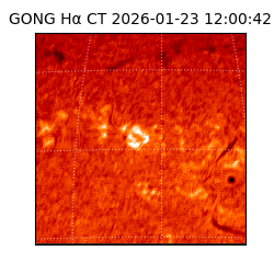 gong - 2026-01-23T12:00:42